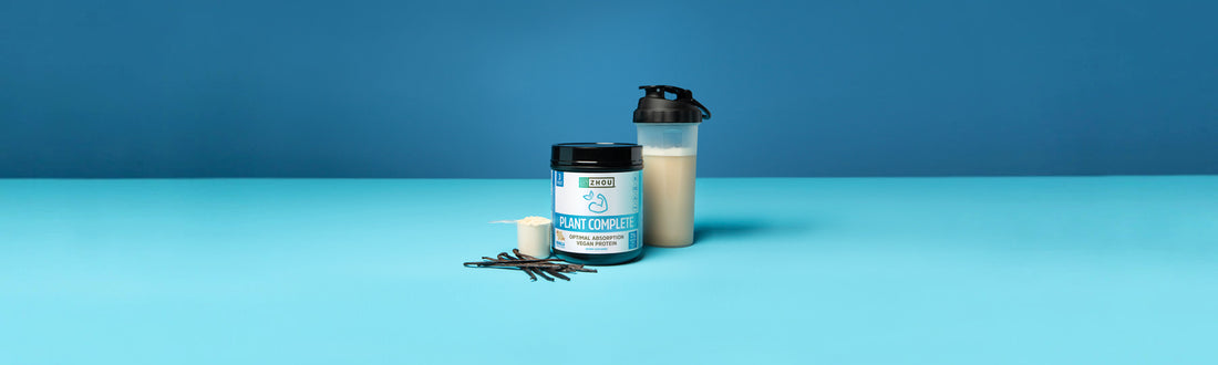 Whey Protein Powder vs. Plant-Based Protein Powder – Which Should You Choose?